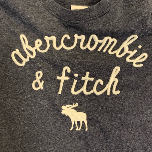 Abercrombie & Fitch Heather Blue tee - Picture 2 of 5